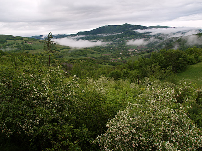 Oasi naturalistica del Carmine